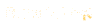 logo expertyusa
